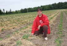 Truskawki_muszą_być_smaczne