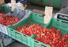 Truskawki_na_rybitwach