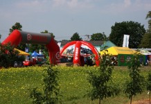 Jagodowo w Dąbrowicach