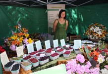 Malinowe święto w Kraśniku