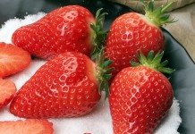 Nowe i znane odmiany truskawek