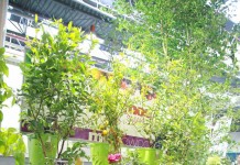 Rośliny – ważny element naszego życia