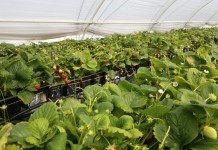 W tunelach i pod daszkami