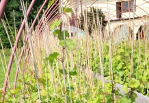 Tradycyjnie ale wciąż aktualnie