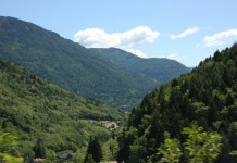 Truskawki uprawiane w górach