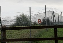 Truskawkowe szkolenie na Roztoczu