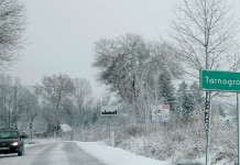 Malinowe spotkanie na Roztoczu