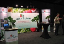 O uprawie roślin jagodowych z Holandii