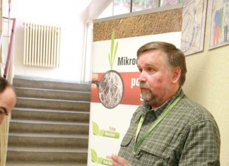 Porzeczki na Roztoczu