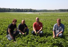 W truskawkowym mateczniku