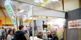 Intensyfikacja uprawy krzewów jagodowych