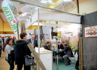 Intensyfikacja uprawy krzewów jagodowych