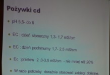 W Czerwińsku o nowych technologiach uprawy truskawek