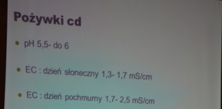 W Czerwińsku o nowych technologiach uprawy truskawek