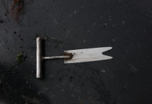 Proste metody na sadzonki frigo