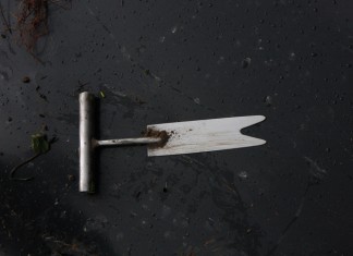 Proste metody na sadzonki frigo