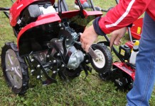 Manewry Ogrodnicze w Dąbrowicach