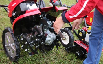 Manewry Ogrodnicze w Dąbrowicach