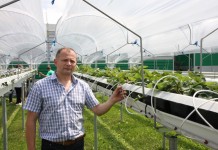 Uprawa na wyższym poziomie