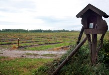 Ciągły rozwój , cz. I