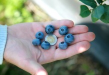Ciągły rozwój , cz. II