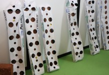 Z truskawką w roli głównej