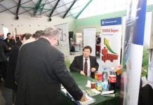 Merytorycznie o jagodowych w Kraśniku