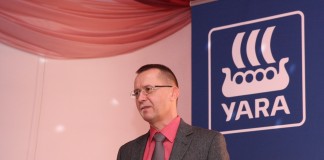 Jak opłacalnie produkować truskawki