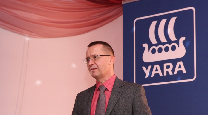 Jak opłacalnie produkować truskawki