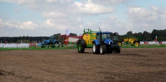 W poszukiwaniu wiedzy o truskawkach