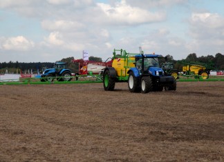 W poszukiwaniu wiedzy o truskawkach