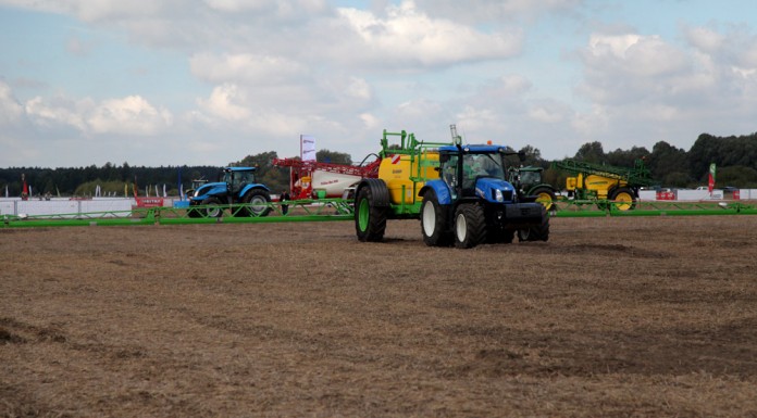 W poszukiwaniu wiedzy o truskawkach