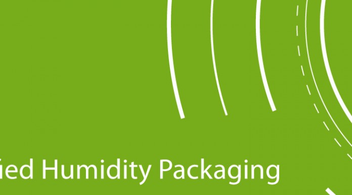 Przezimowanie plantacji czarnych porzeczek