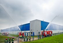 Ocena zawiązania owoców na plantacjach porzeczek