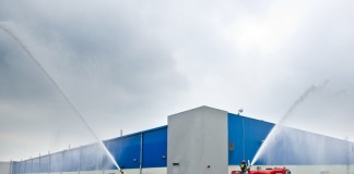 Ocena zawiązania owoców na plantacjach porzeczek