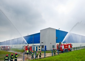 Ocena zawiązania owoców na plantacjach porzeczek