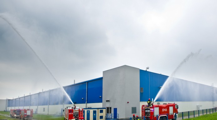 Ocena zawiązania owoców na plantacjach porzeczek