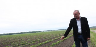 Sposób na Sengę Senganę