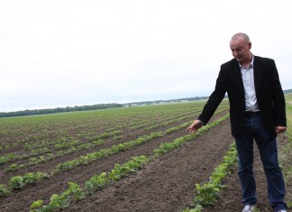 Sposób na Sengę Senganę