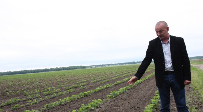 Sposób na Sengę Senganę