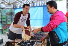 Na wrocławskiej giełdzie „Targpiast”