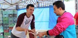 Na wrocławskiej giełdzie „Targpiast”