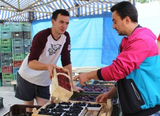 Na wrocławskiej giełdzie „Targpiast”
