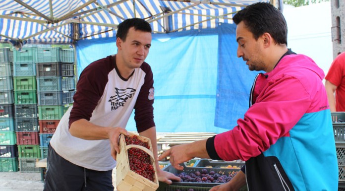 Na wrocławskiej giełdzie „Targpiast”