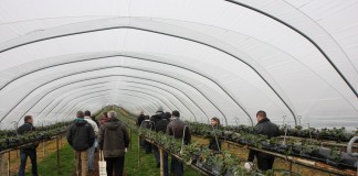 Na farmie Edward Vinson w Wielkiej Brytanii