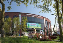 Rośliny, nie tylko ozdobne