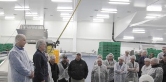 Mechaniczne sortowanie borówki