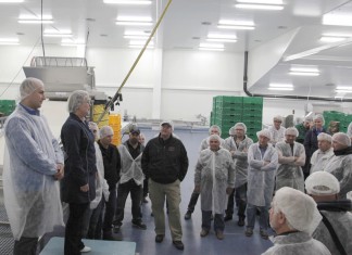 Mechaniczne sortowanie borówki