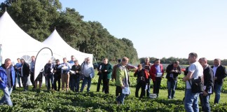 Nowości w ochronie truskawek