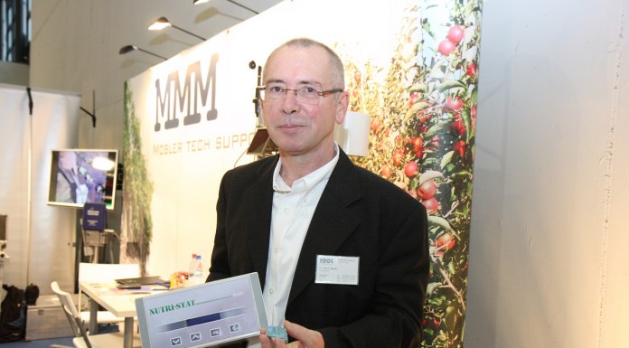 Jagodowa oferta w Karlsruhe